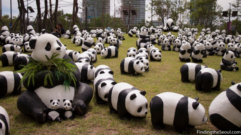 Panda 1600 Exhibit-16